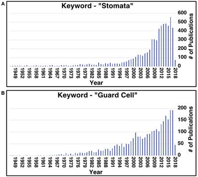 Comparative Genomics Analysis Provides New Insight Into Molecular Basis of Stomatal Movement in Kalanchoë fedtschenkoi